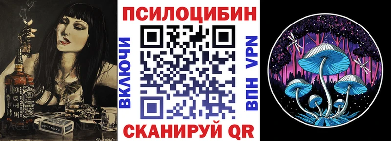 купить Богданович Галлюциногенные грибы Psilocybe
